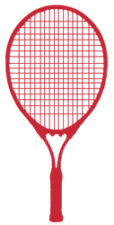 discover racket